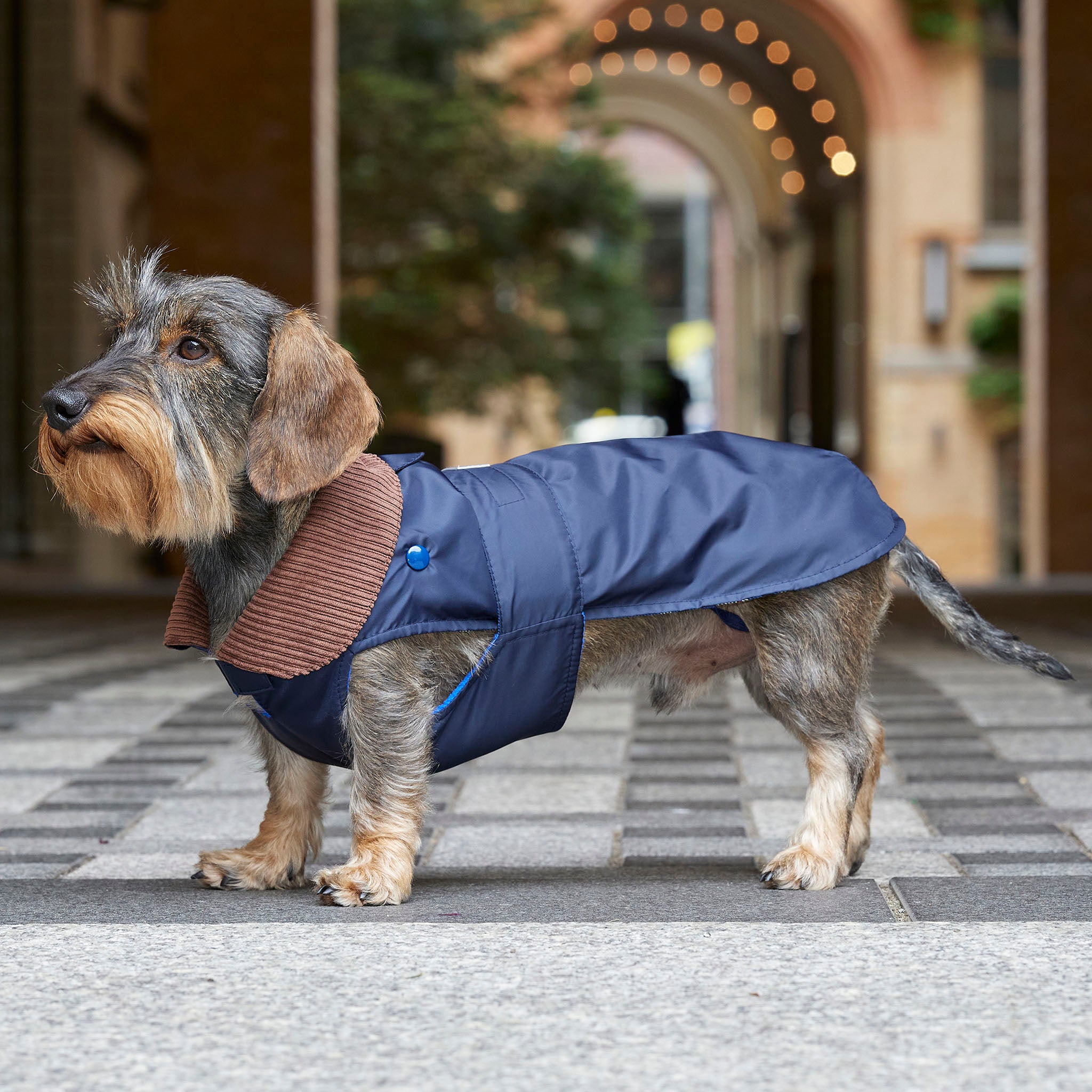 Puppy raincoat best sale