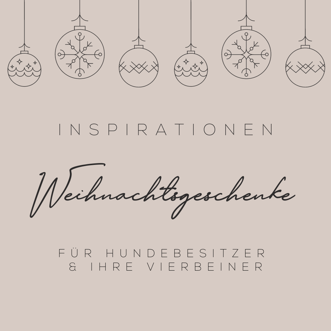 Einzigartige Weihnachtsgeschenke für Hundebesitzer: Stilvoll, funktional und von Herzen