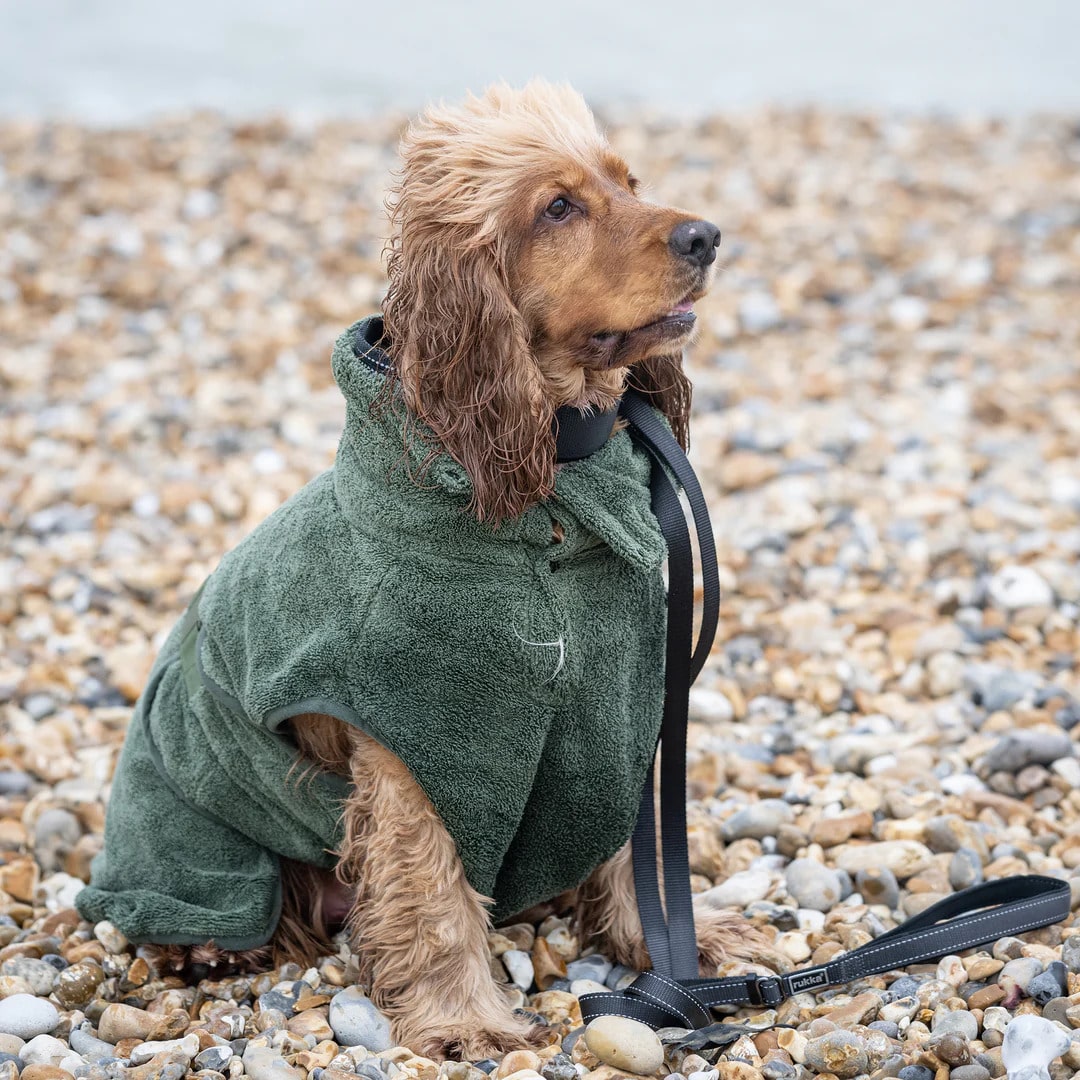 Hund in Hundebademantel