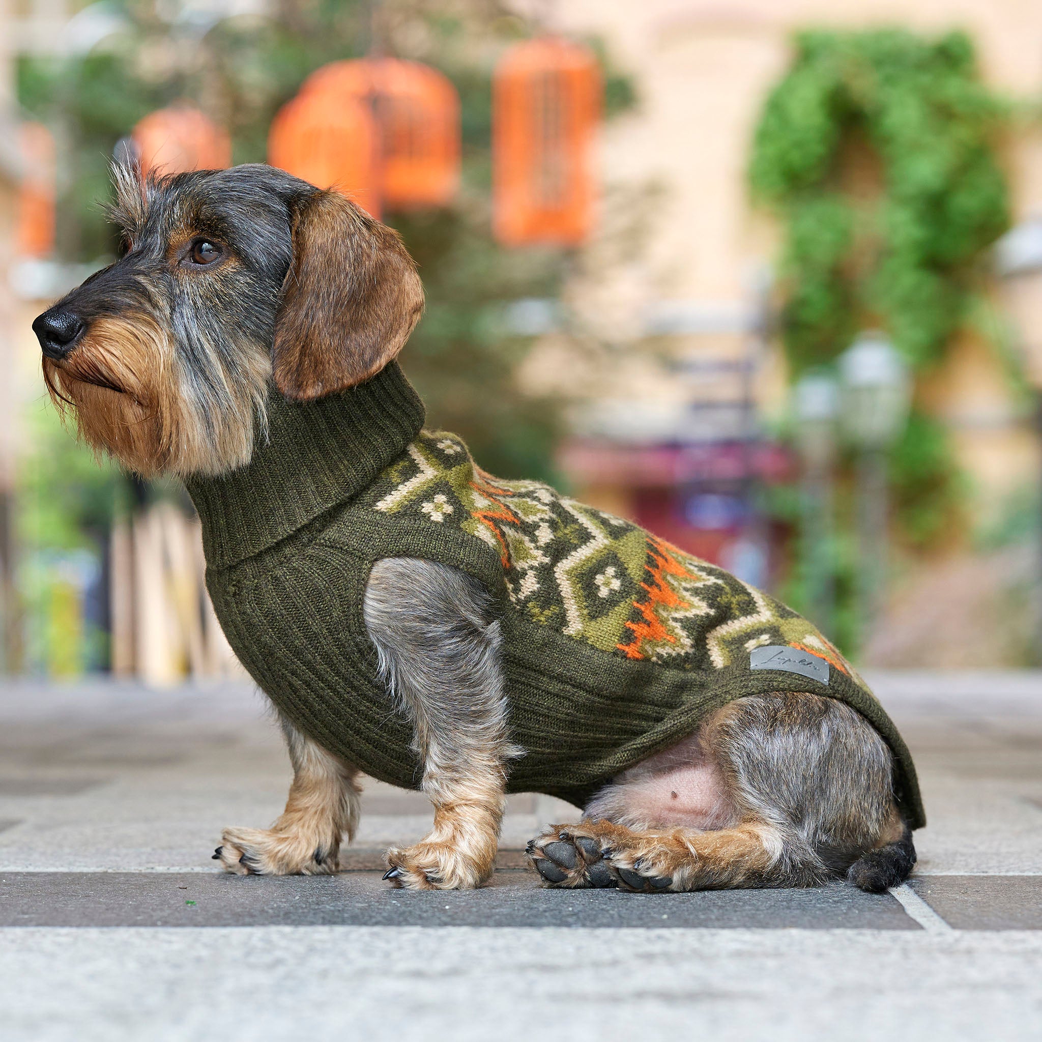 Hundepullover für Dackel und kleine Hunde