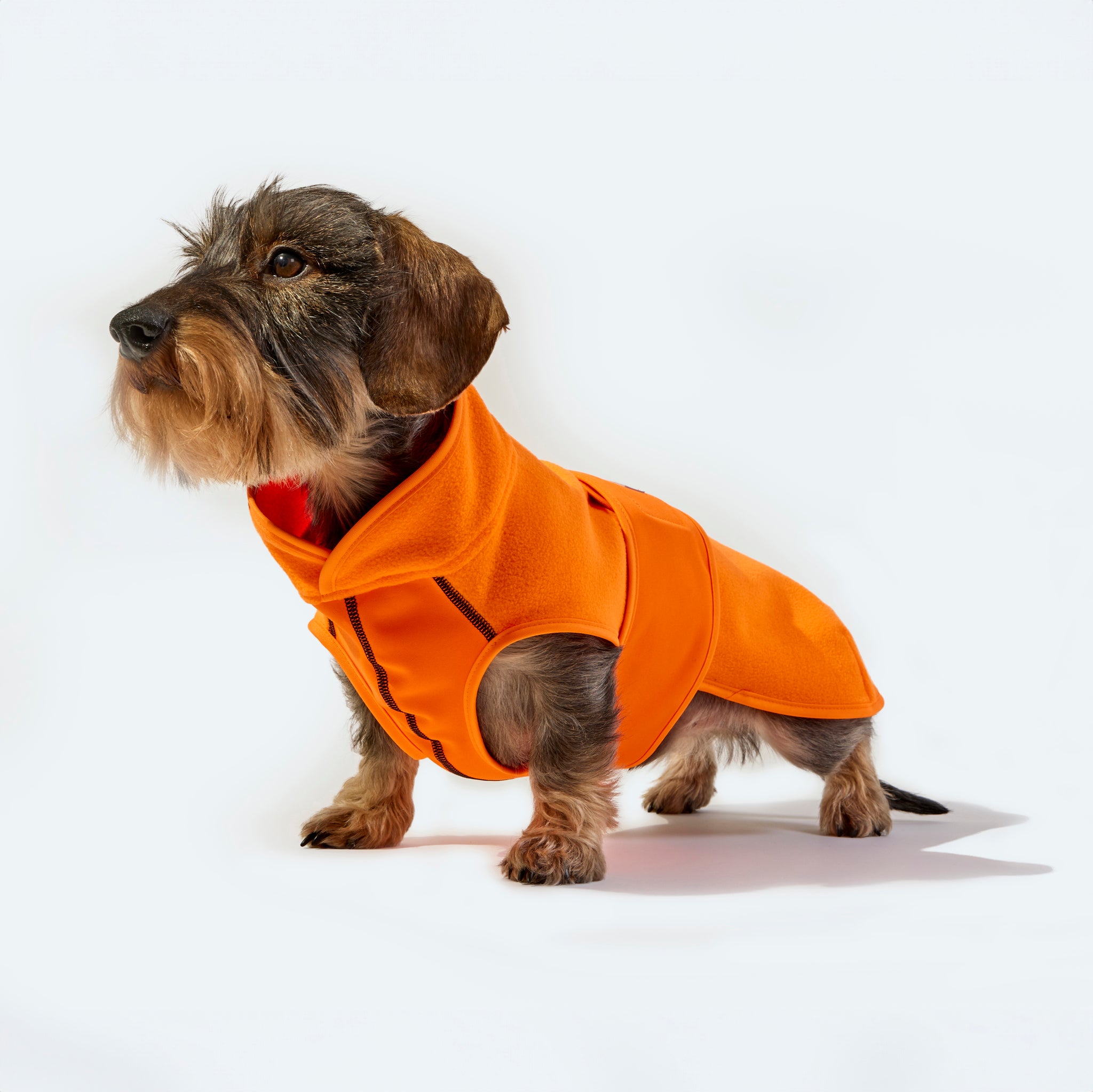 Hundemantel Fleece Leopold's     - von Leopold's kaufen bei leopolds-finest