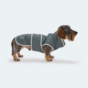 Hundemantel Dackel Softshell Handarbeit     - von Leopold's kaufen bei leopolds-finest