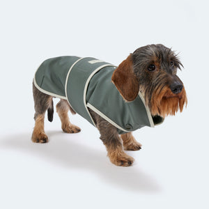 Hundemantel Dackel Softshell Handarbeit     - von Leopold's kaufen bei leopolds-finest