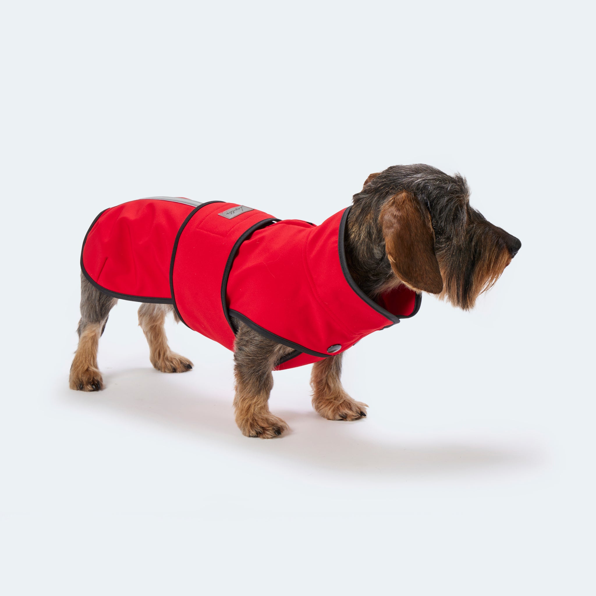 Hundemantel Dackel Softshell Handarbeit     - von Leopold's kaufen bei leopolds-finest