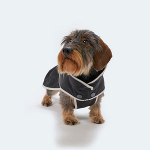 Hundemantel Dackel Softshell Handarbeit     - von Leopold's kaufen bei leopolds-finest