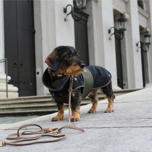 Lodenmantel mit ausknöpfbarem Fleece für Dackel und kleine Hunde