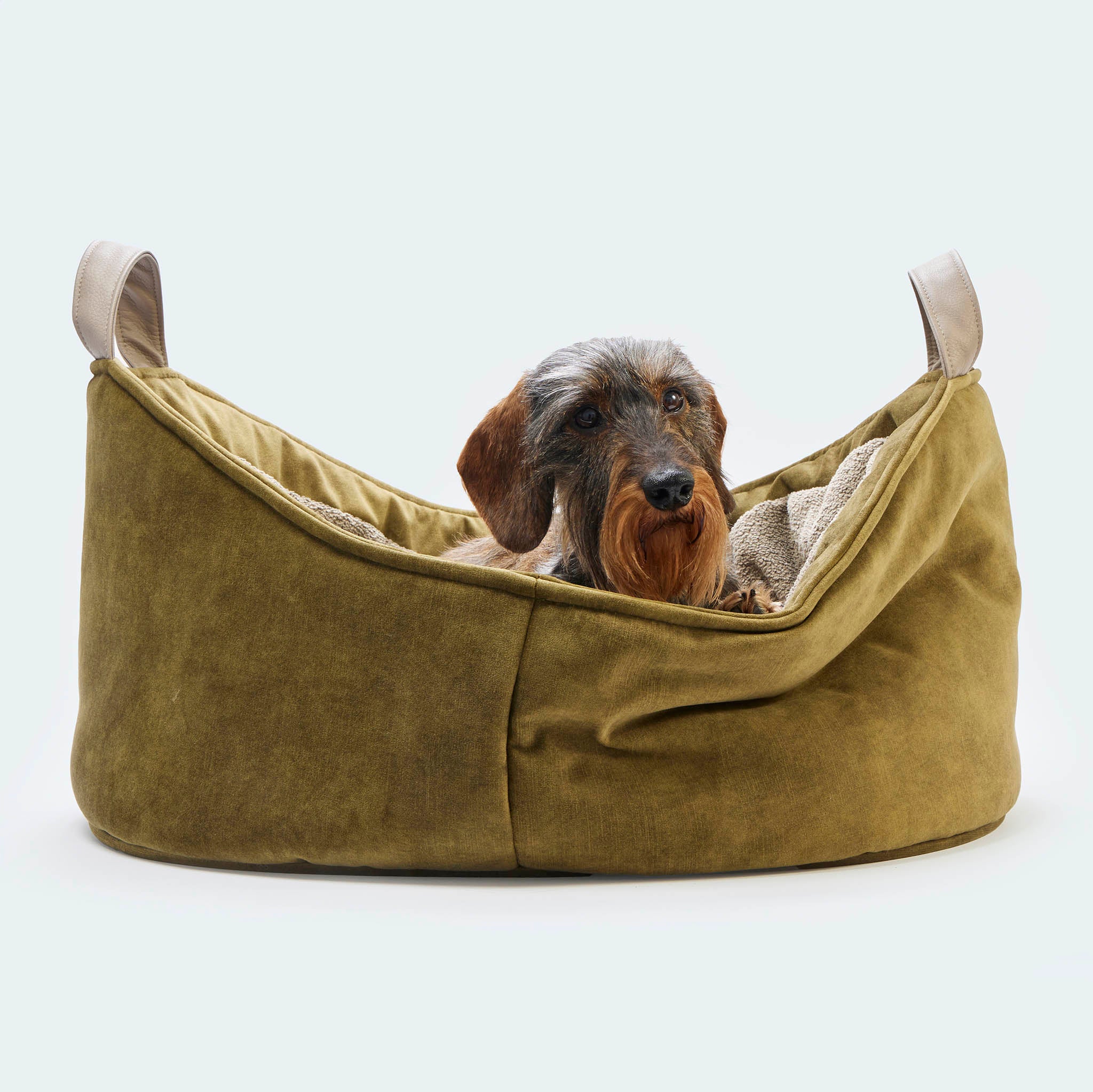 Cosy Dog Bed Velvet Deluxe - Hundebett für Dackel und kleine Hunde