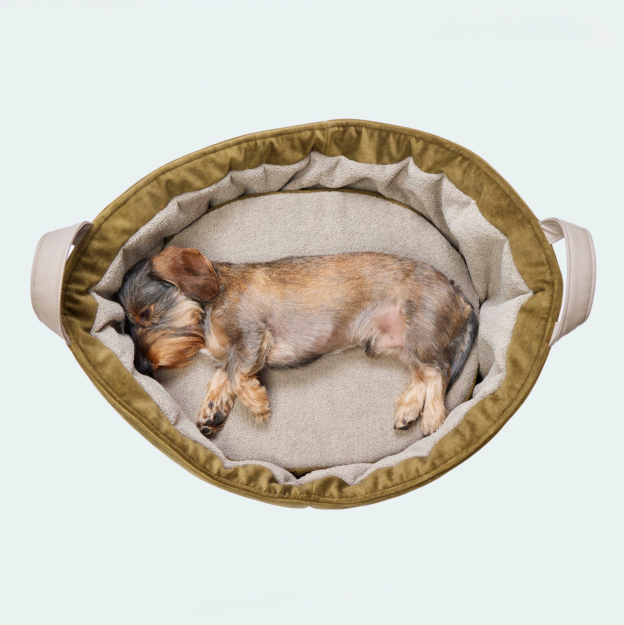 Orthopedic dog bed Velvet Deluxe