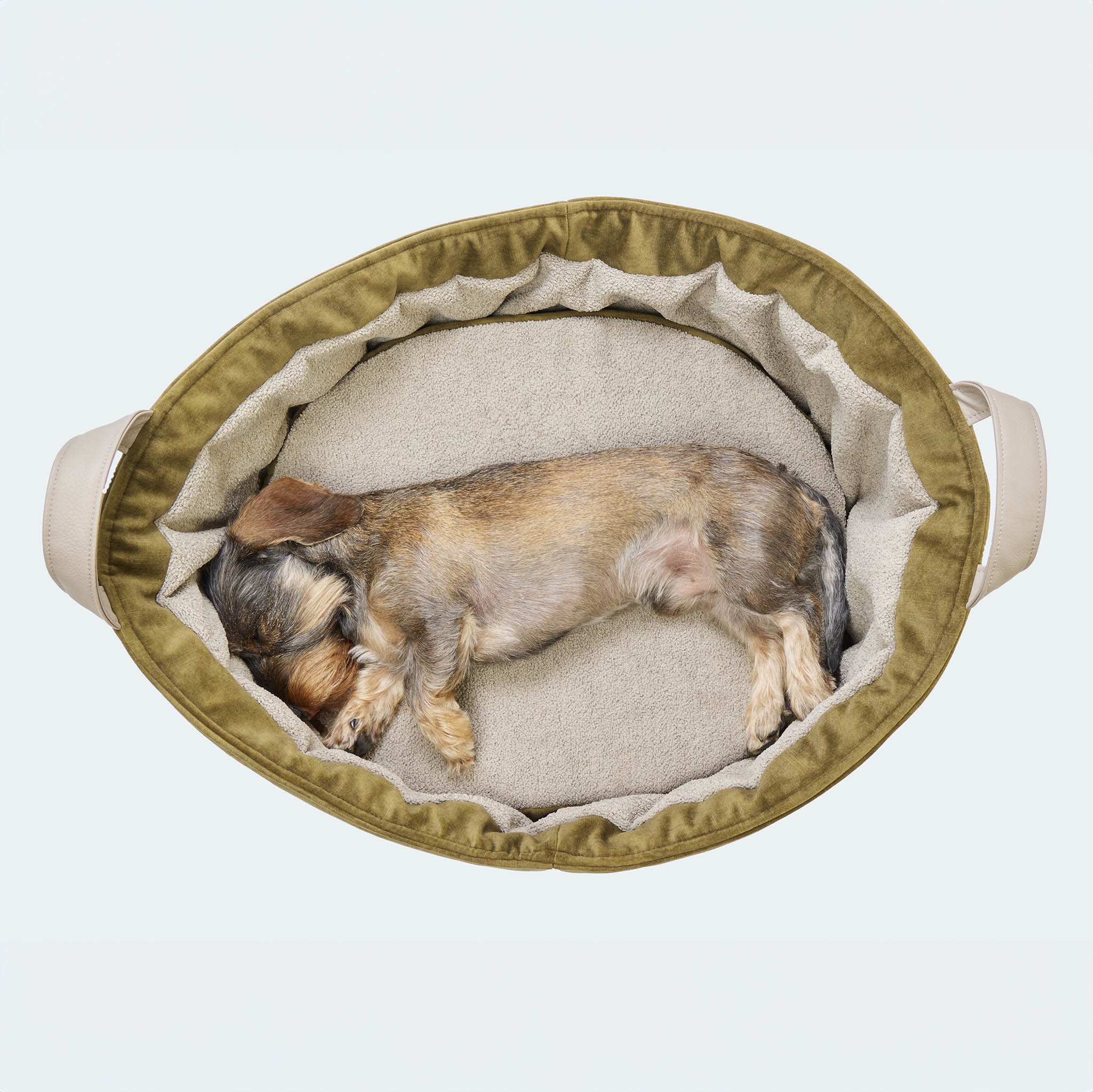 Cosy Dog Bed Velvet Deluxe - Hundebett für Dackel und kleine Hunde