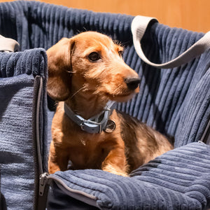 Hundehalsband Fettleder Hellblau-Silber / 22-28cm Hellblau-Silber 22-28cm  - von Leopold's kaufen bei leopolds-finest