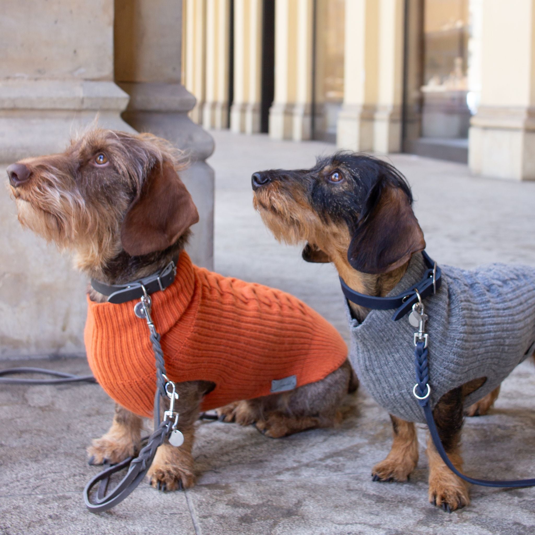 Hundehalsband Fettleder Navy-Silber / 22-28cm Navy-Silber 22-28cm  - von Leopold's kaufen bei leopolds-finest [Navy-Silber, Dunkelgrau-Silber]