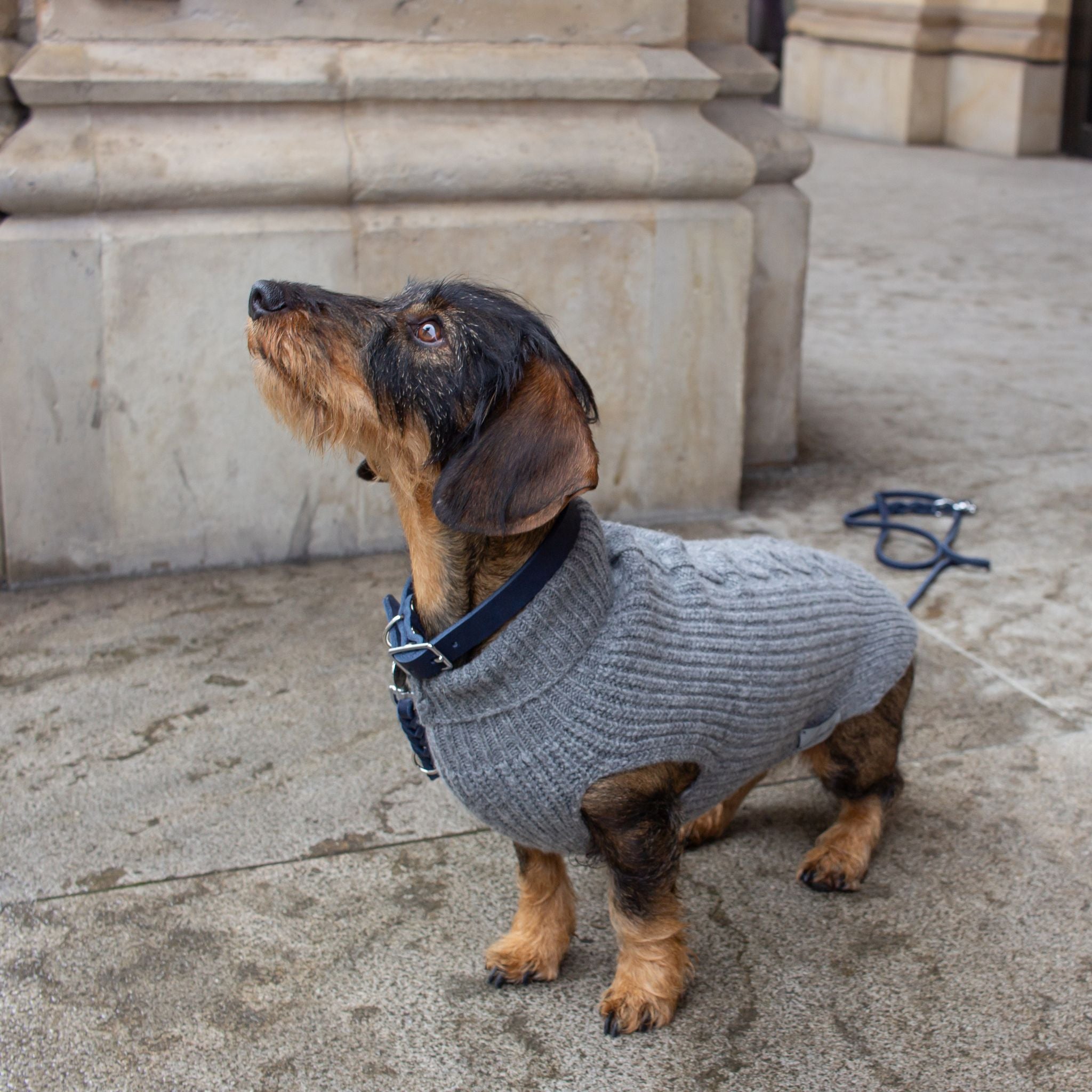 Hundehalsband Fettleder Navy-Silber / 22-28cm Navy-Silber 22-28cm  - von Leopold's kaufen bei leopolds-finest [Navy-Silber]