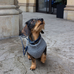 Hundehalsband Fettleder Navy-Silber / 22-28cm Navy-Silber 22-28cm  - von Leopold's kaufen bei leopolds-finest