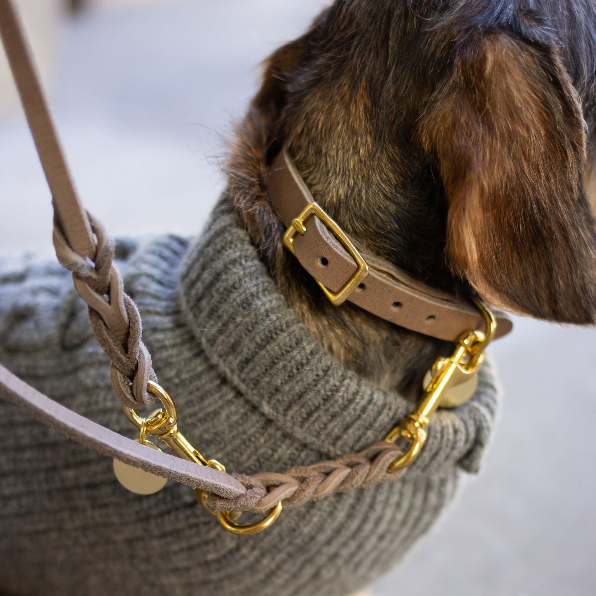 Hundehalsband Fettleder Taupe-Gold / 22-28cm - von Leopold's kaufen bei leopolds-finest [Taupe-Gold]