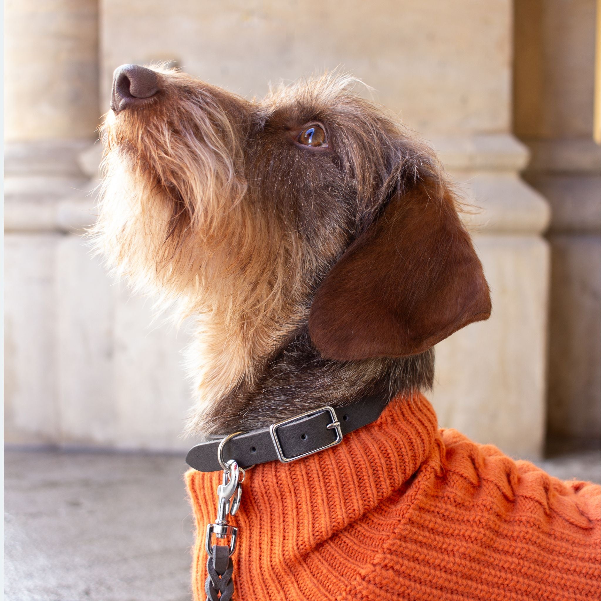 Hundehalsband Fettleder Dunkelgrau-Silber 22-28cm  - von Leopold's kaufen bei leopolds-finest [Dunkelgrau-Silber]