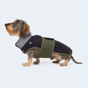 Loden coat with detachable fleece for dachshunds and small dogs