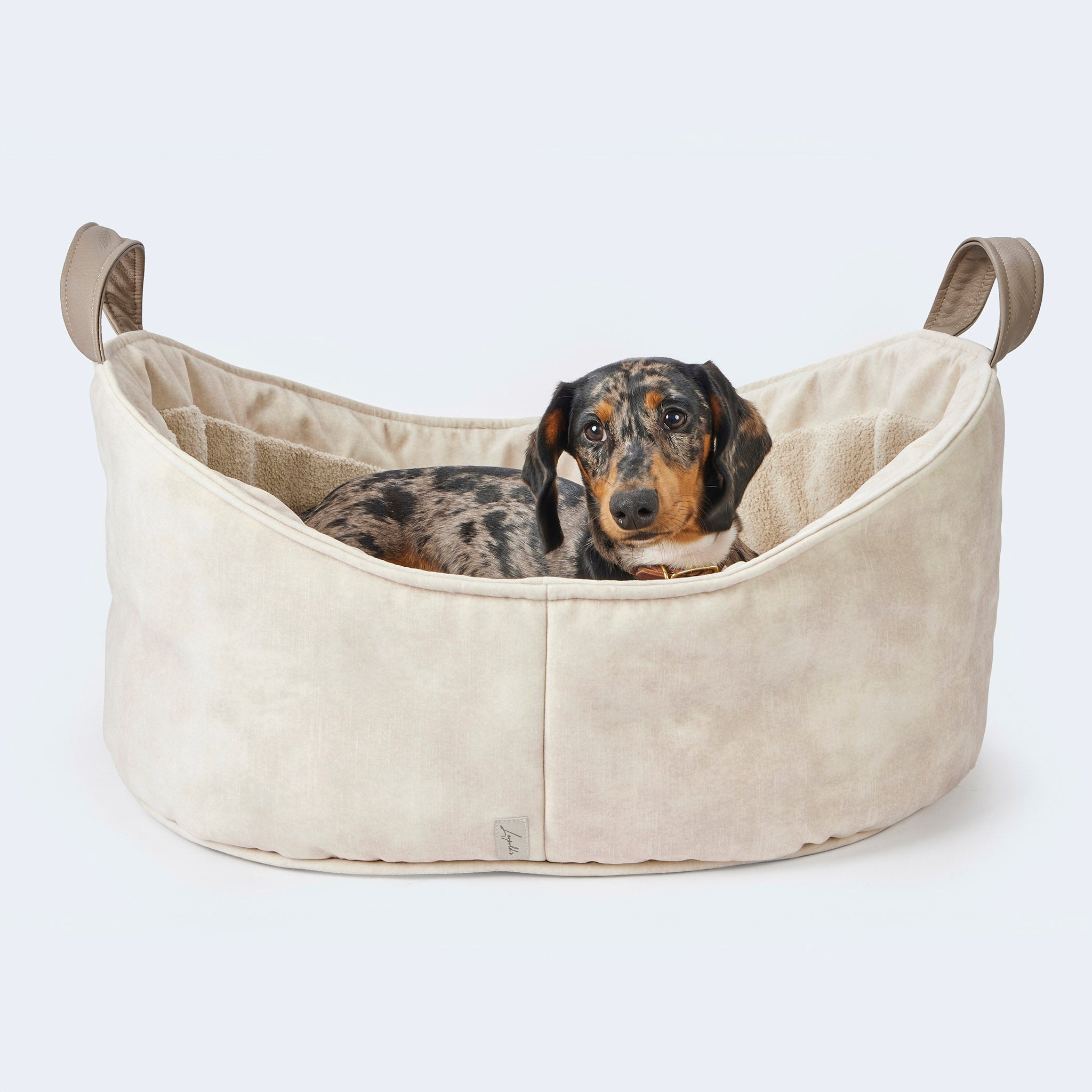 Cosy Dog Bed Velvet Deluxe Dog bed for dachshunds and small dogs