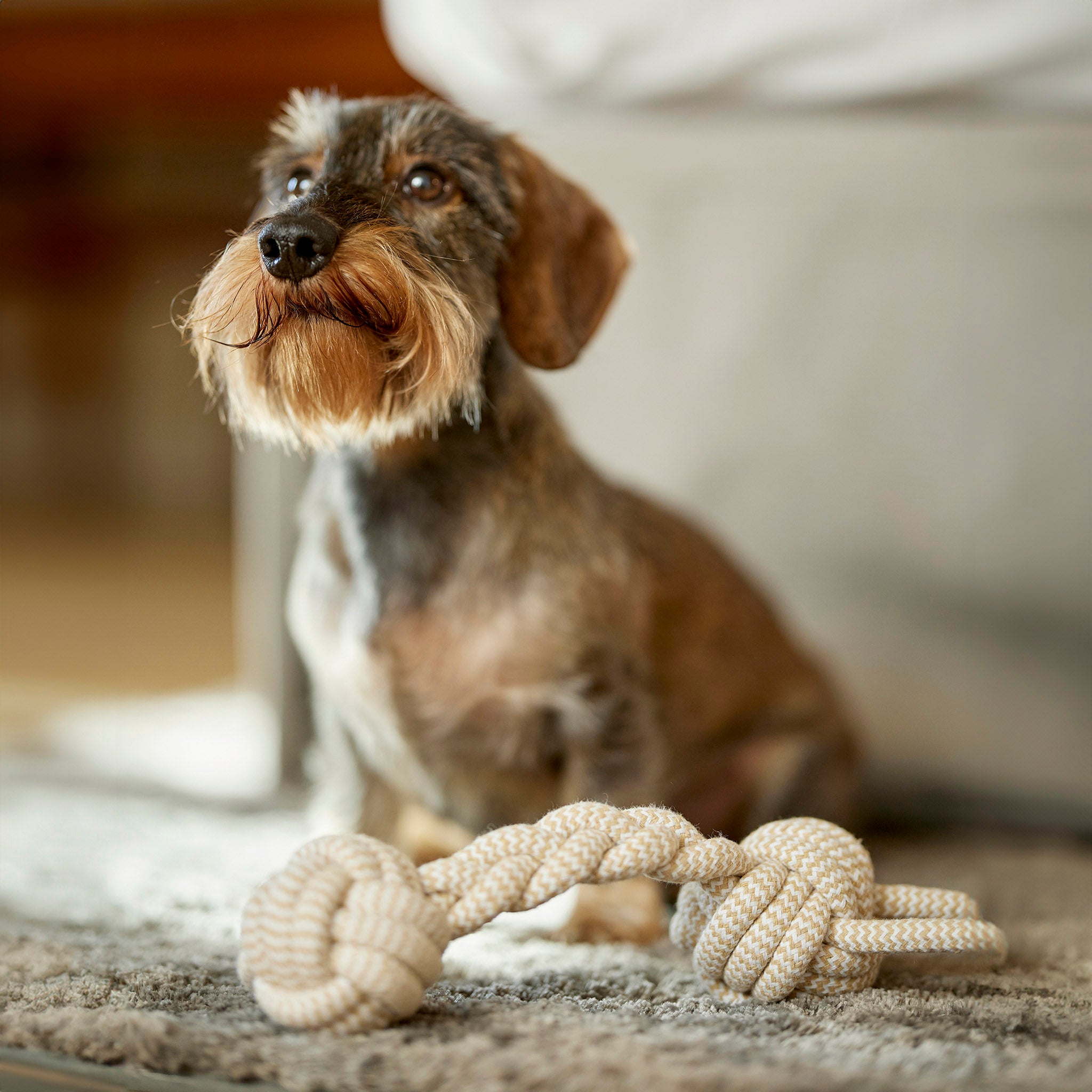 Spielzeug für Hunde - geflochtener Knochen aus Tau