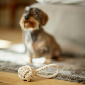 Spielzeug für Dackel und kleine Hunde Wurfball aus Tau beige