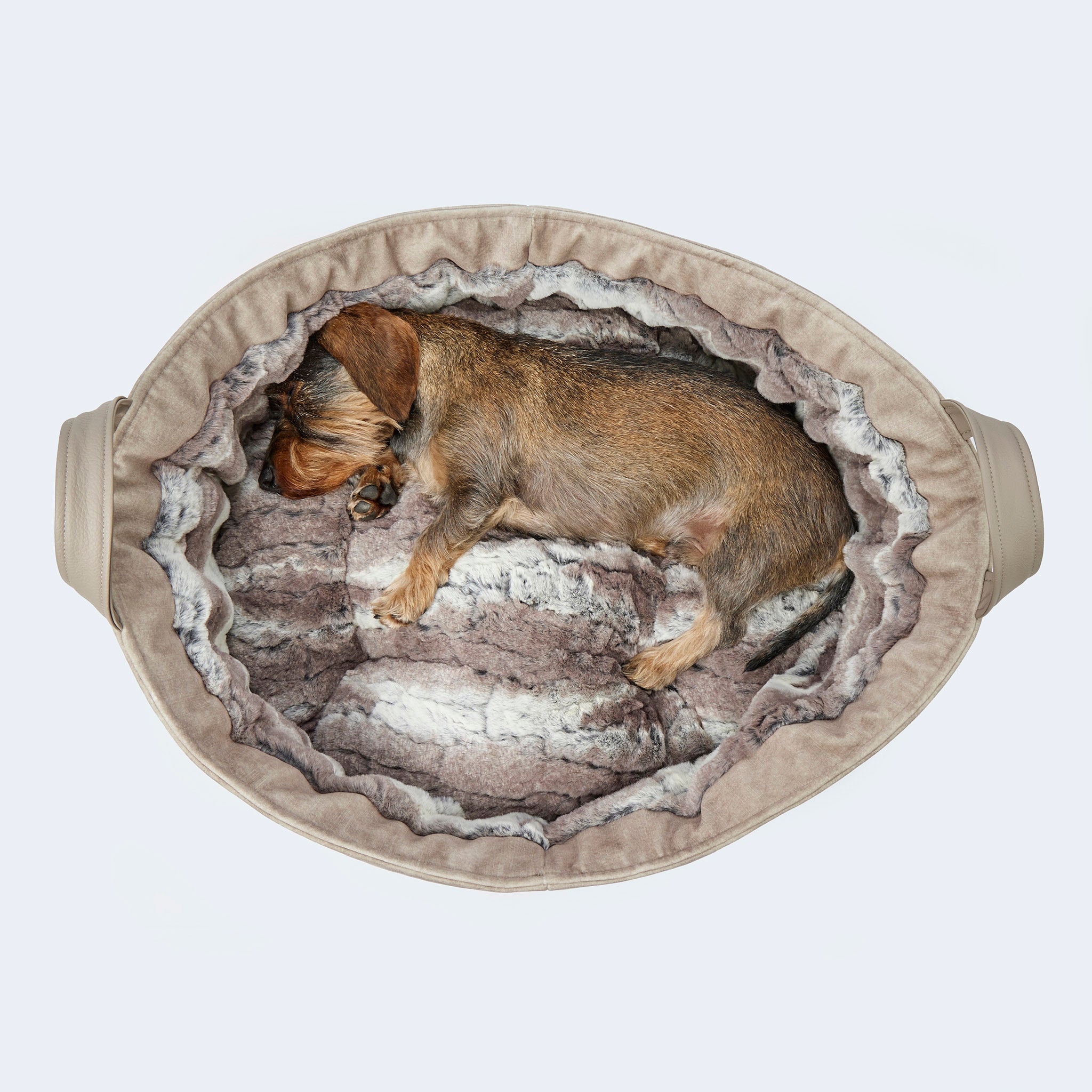 Cosy Dog Bed Velvet - Hundebett in Luchs-Optik