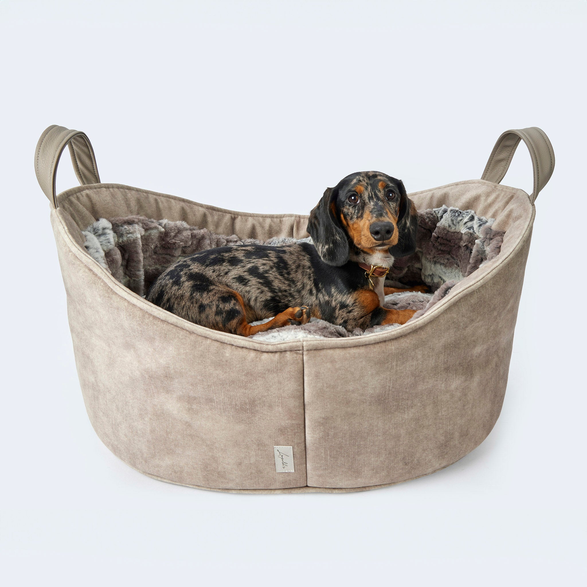 Dachshund dog bed best sale