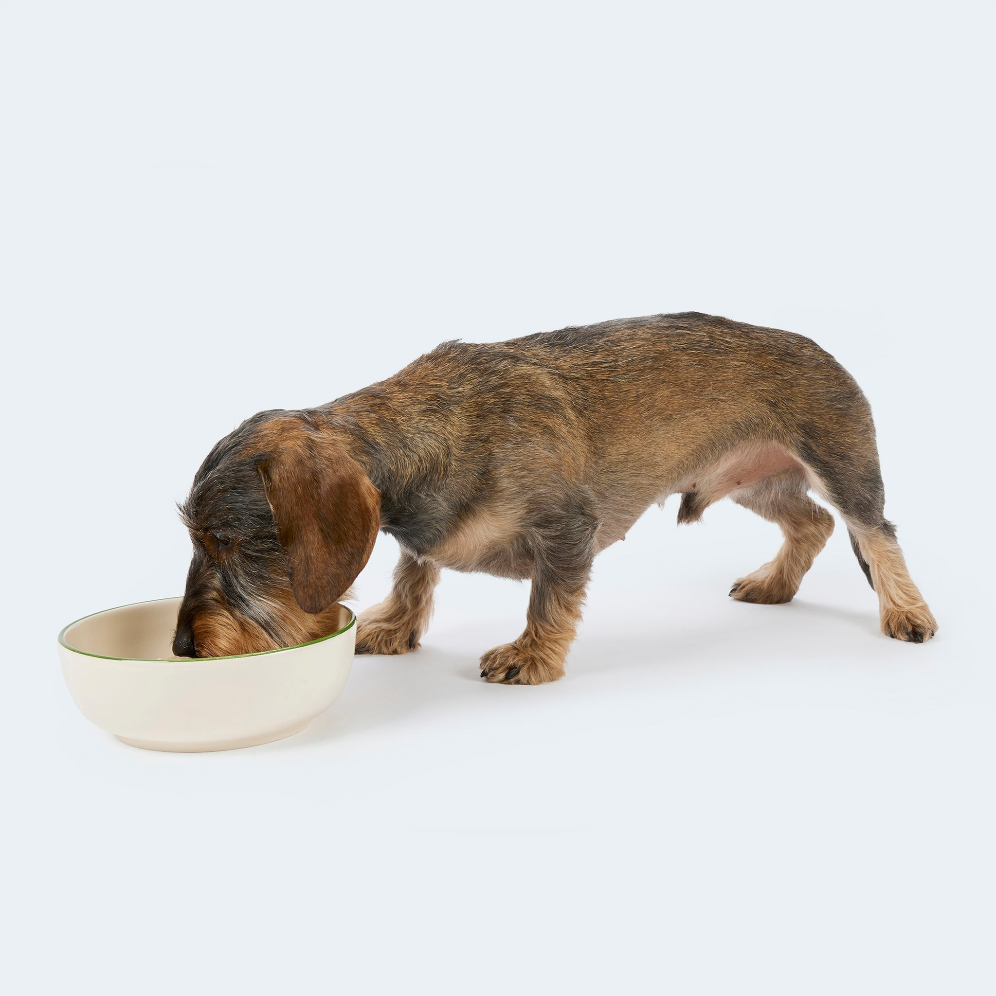 Gmundner x Leopold's Collection: Hand-painted ceramic bowl with dachshund motif