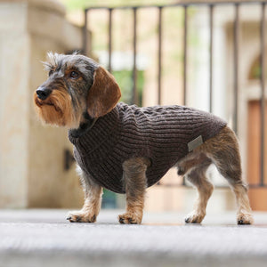 Hundestrickpullover