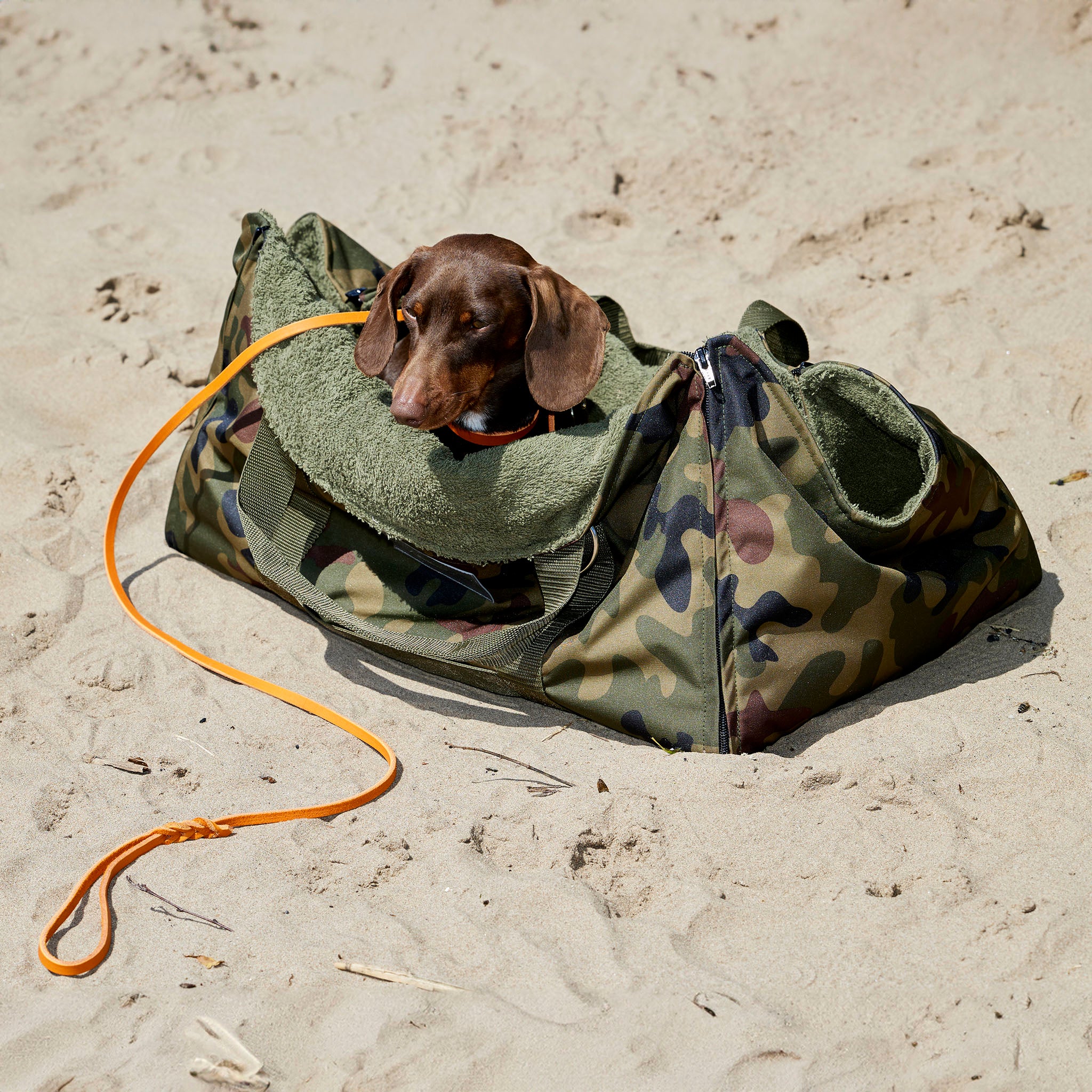 4 in 1 Travel Bag Allrounder – Hundetasche und Decke in einem [camouflage dunkel]