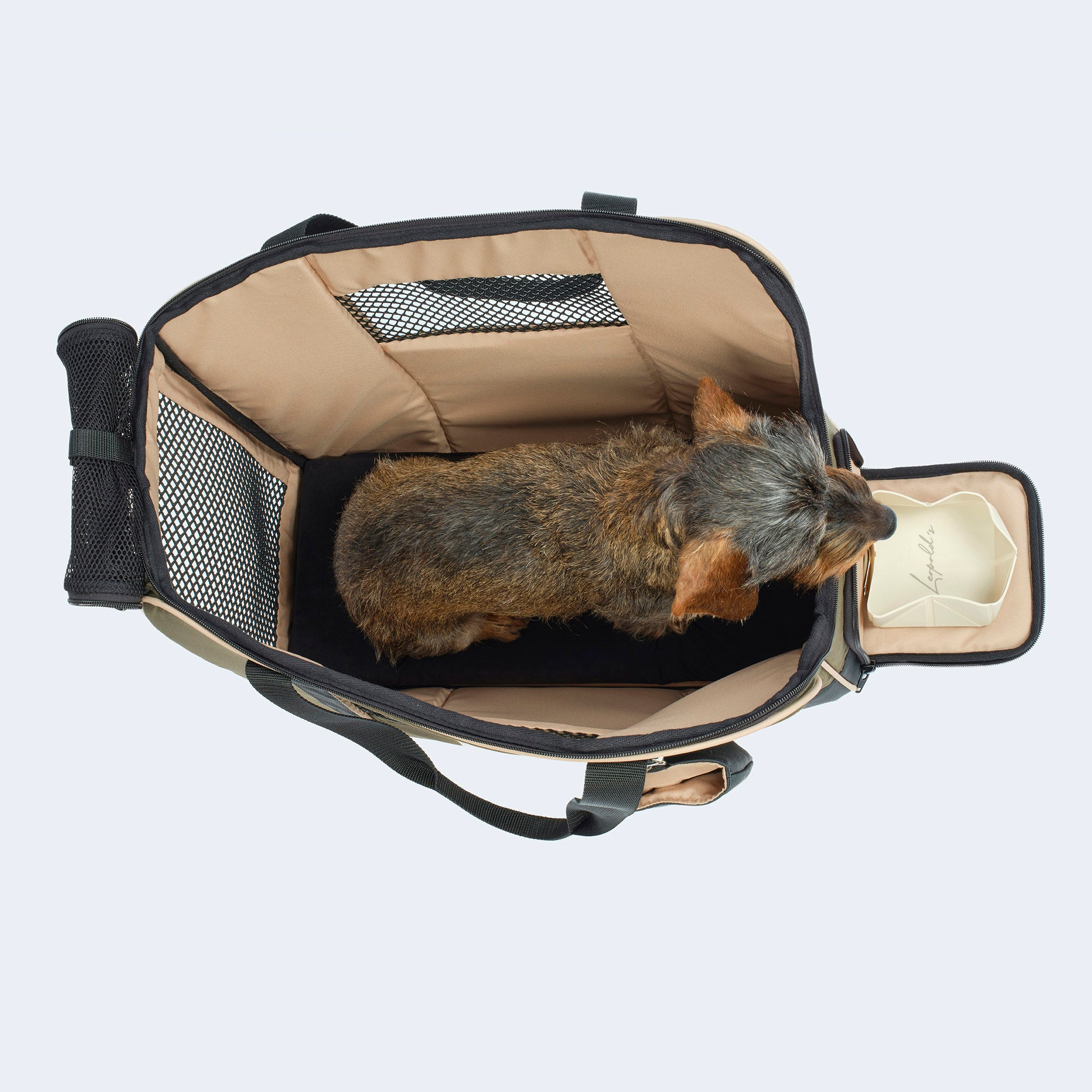 Flight bag for dachshunds and small dogs with orthopedic mattress