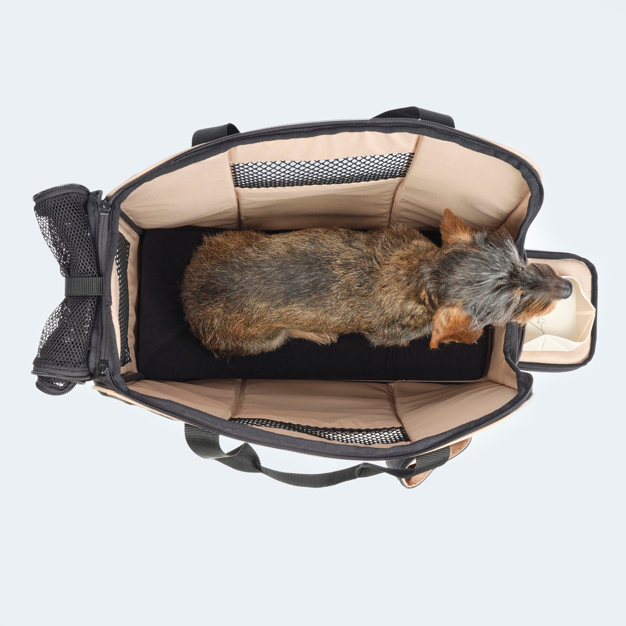 Flight bag for dachshunds and small dogs with orthopedic mattress