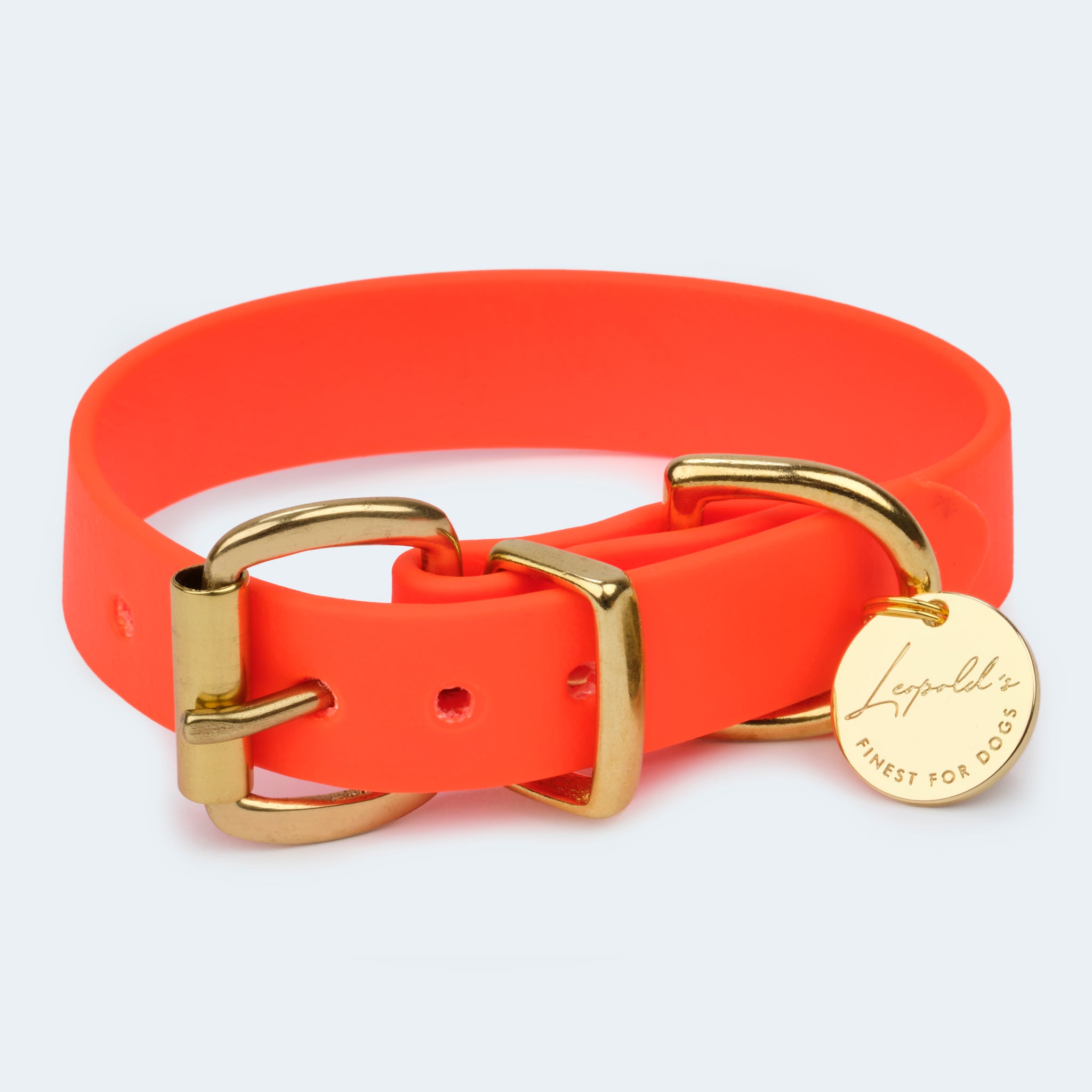 Hundehalsband Adventure in orange [Orange]