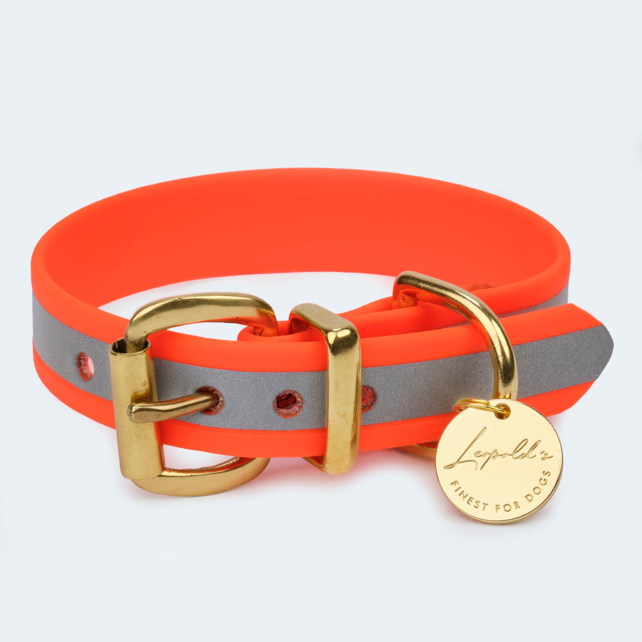 Hundehalsband Adventure in orange mit Reflextreifen [Orange]