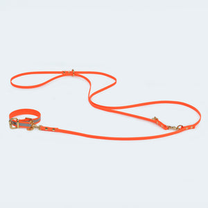 Leopold's Finest Adventure verstellbare Leine mit Hundehalsband in Orange