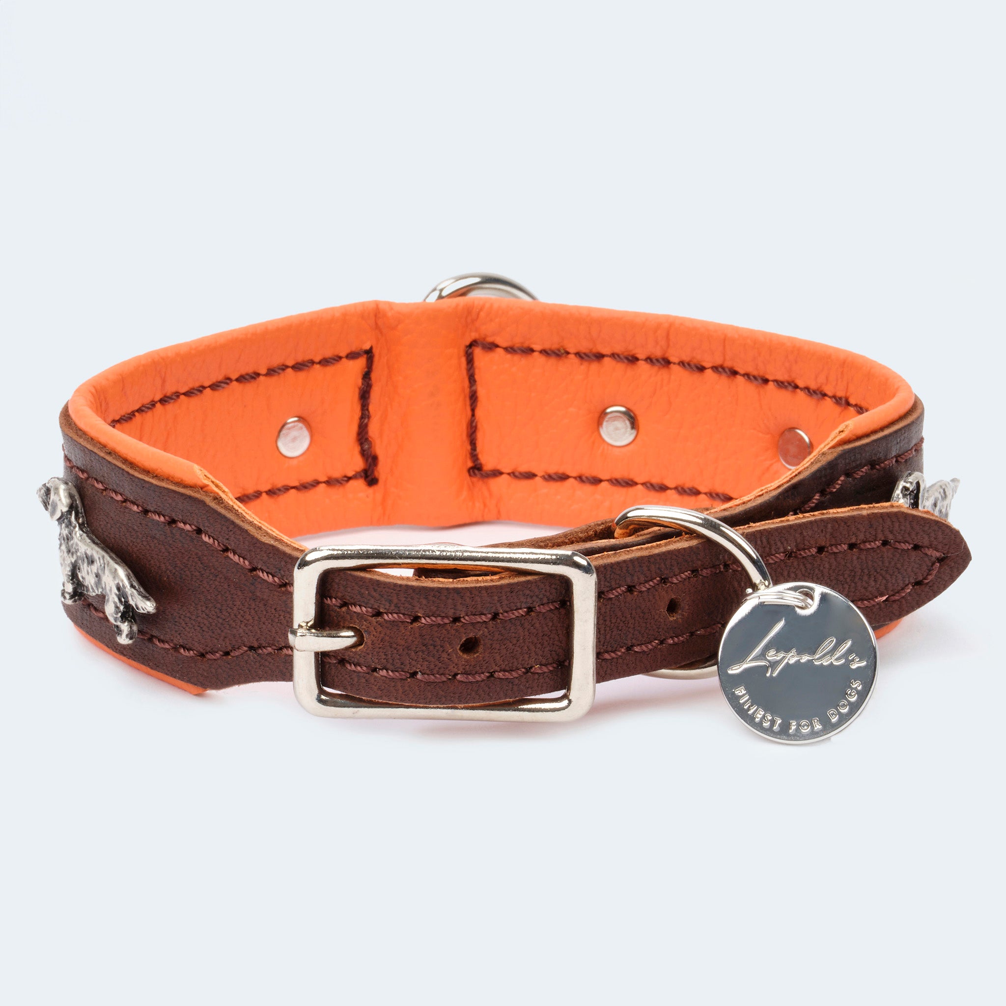 Lederhalsband mit Dackelbeschlägen. Außenleder ist dunkelbraun und Innenleder in orange. Die Beschläge und die Riemen sind aus hochwertigem Edelstahl.