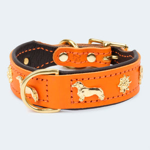 Lederhalsband mit Dackelbeschlägen. Außenleder ist orange und Innenleder dunkelbraun. Die Beschläge und die Riemen sind aus hochwertigem Messing.