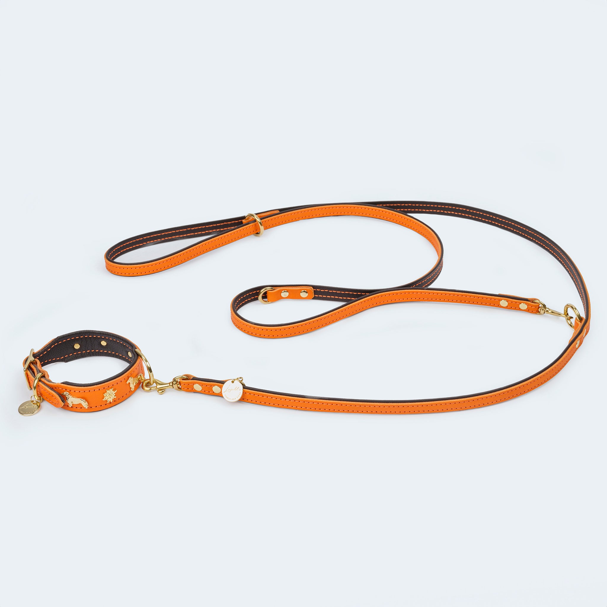 Lederleine aus pflanzlich gegerbten Rindsleder in orange und dunkelbraun. Metallteile sind aus hochwertigem Messing. Lederleine mit farblich passendem Hundehalsband mit Dackel Beschlägen.