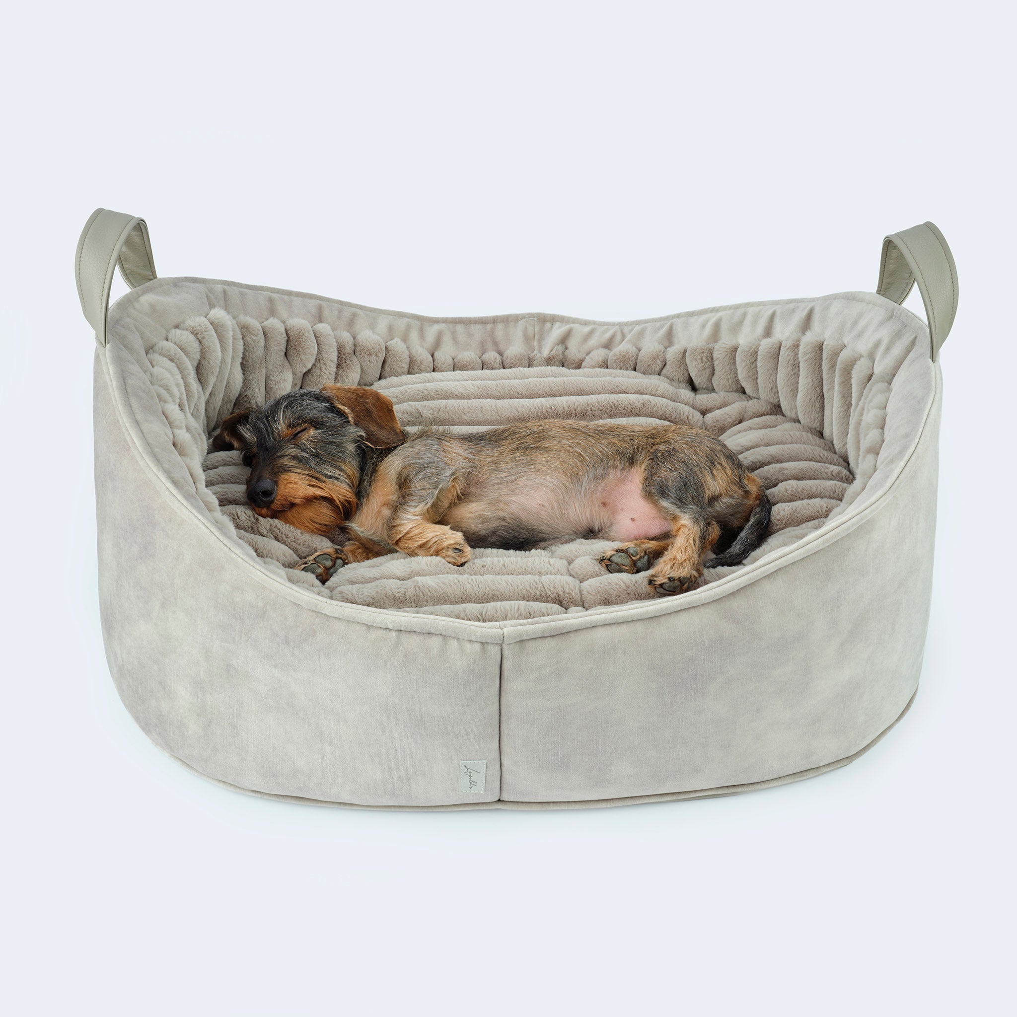 Dog bed for dachshunds and small dogs Velvet Oyster