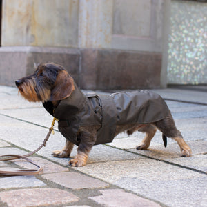 Hunde Regenmantel Dackel     - von Leopold's kaufen bei leopolds-finest