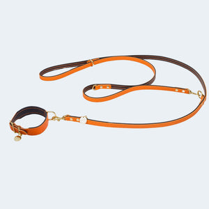 Lederleine aus pflanzlich gegerbten Rindsleder in orange und dunkelbraun. Metallteile sind aus hochwertigem Messing. Lederleine mit farblich passendem Hundehalsband.