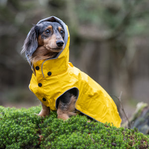 Hunde Regenmantel Dackel     - von rukka Pets kaufen bei leopolds-finest