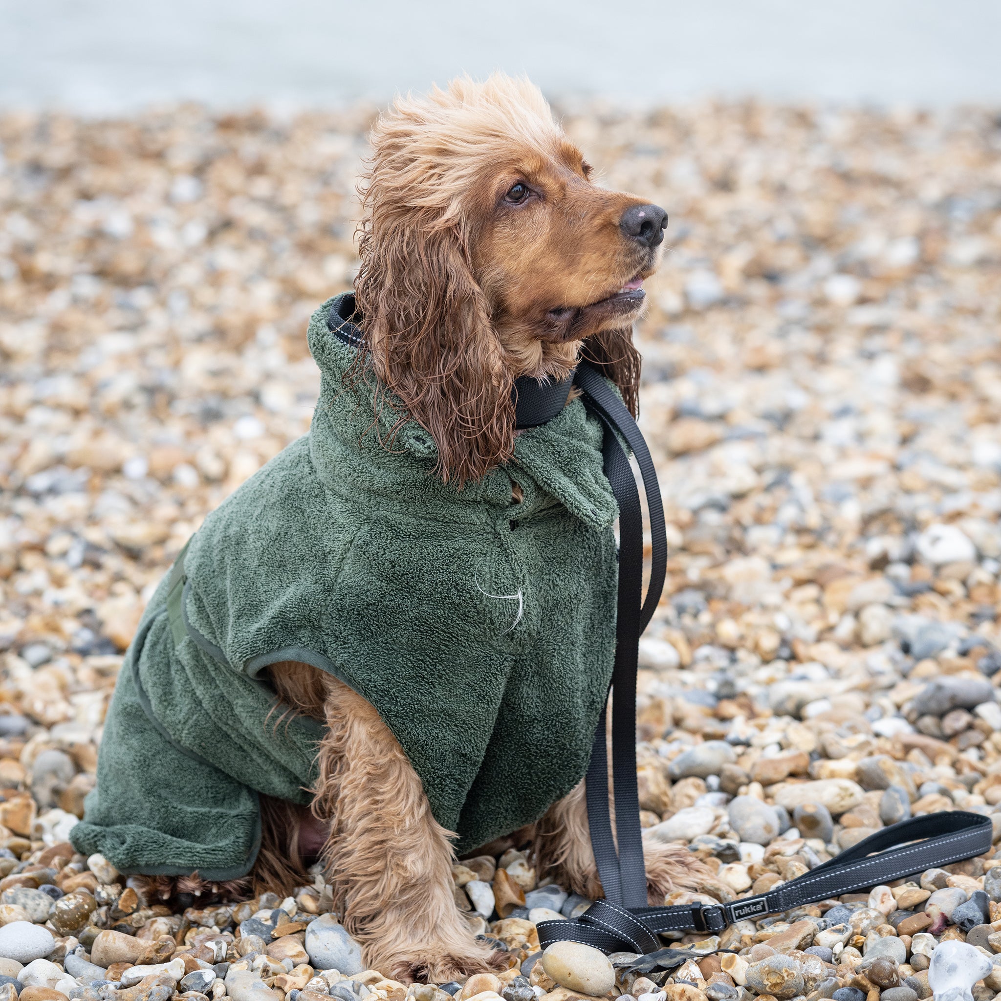 Hundebademantel kleine Hunde     - von rukka Pets kaufen bei leopolds-finest