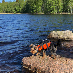 Schwimmweste Hunde     - von rukka Pets kaufen bei leopolds-finest