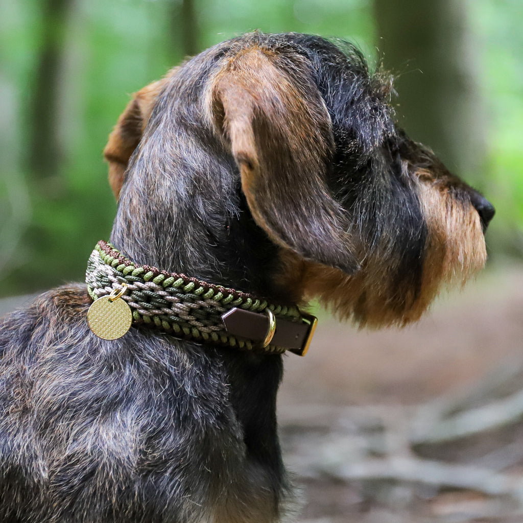 Hundehalsband Dackel handgeknüpft     - von Stilhütte kaufen bei leopolds-finest