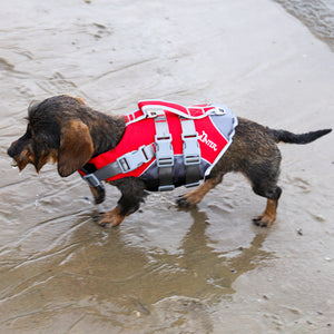 Schwimmweste für Hunde     - von Hunter kaufen bei leopolds-finest