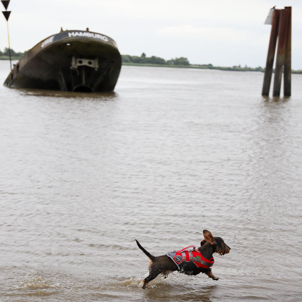 Schwimmweste für Hunde     - von Hunter kaufen bei leopolds-finest