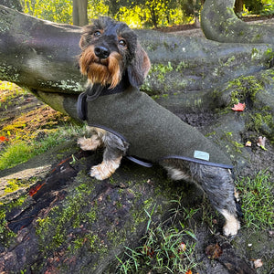 Hundemantel Dackel Loden Handarbeit     - von Leopold's kaufen bei leopolds-finest