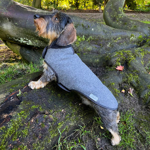 Hundemantel Dackel Loden Handarbeit     - von Leopold's kaufen bei leopolds-finest