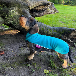 Hundepullover Dackel     - von Pomppa kaufen bei leopolds-finest