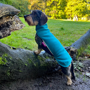 Hundepullover Dackel     - von Pomppa kaufen bei leopolds-finest