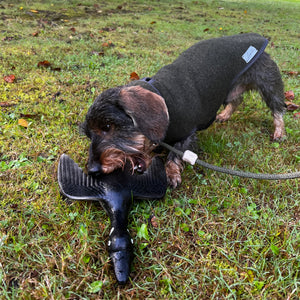 Wurfspielzeug für Hunde     - von Hunter kaufen bei leopolds-finest